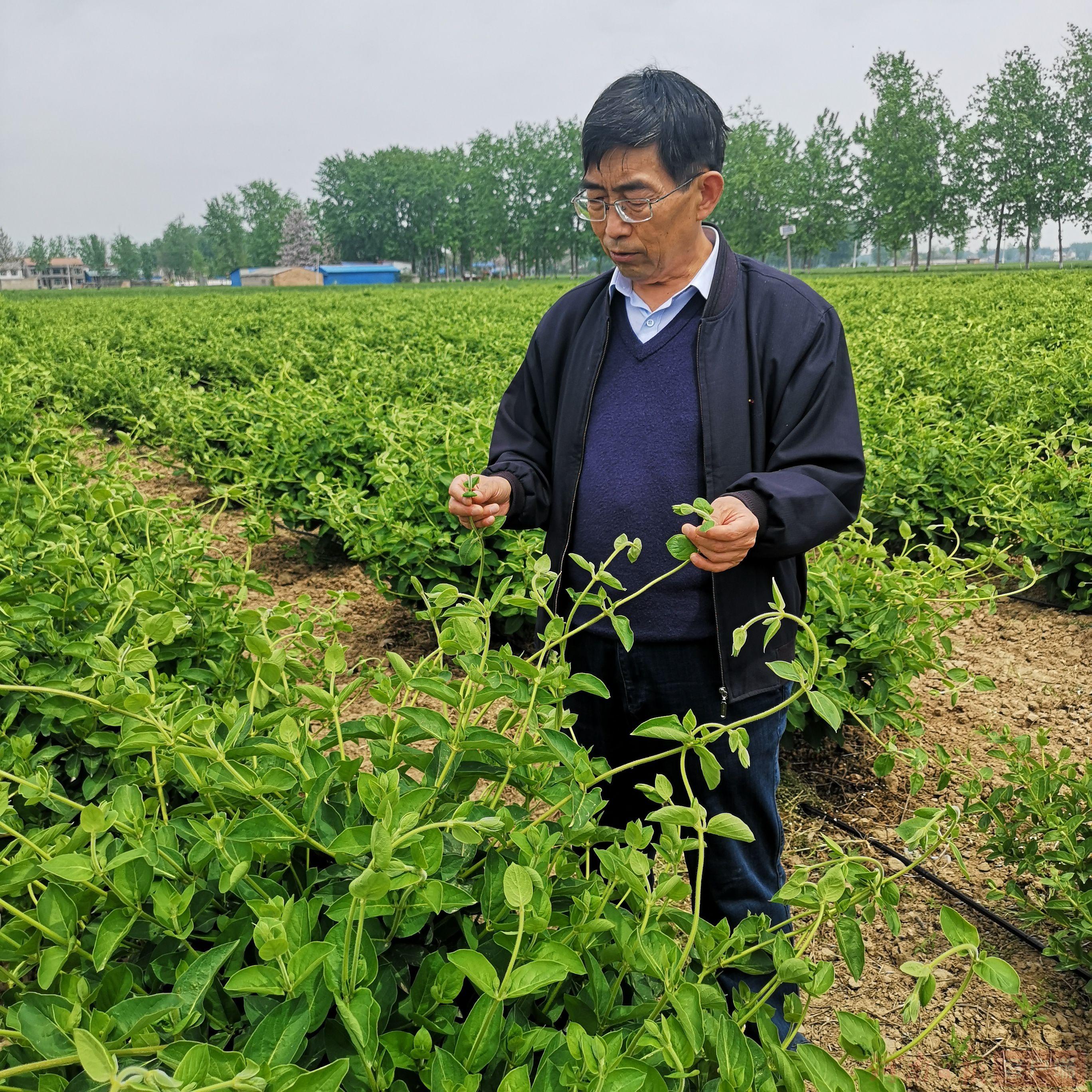 封丘县科技局领导团队引领科技创新助力地方发展新征程