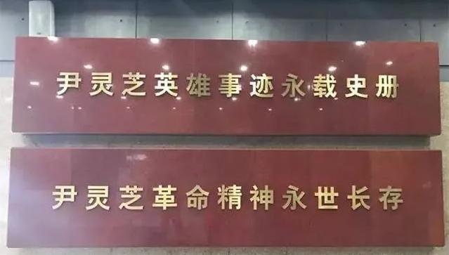 山西省晋中市寿阳县尹灵芝镇最新动态报道