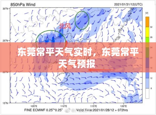 常平镇最新天气预报