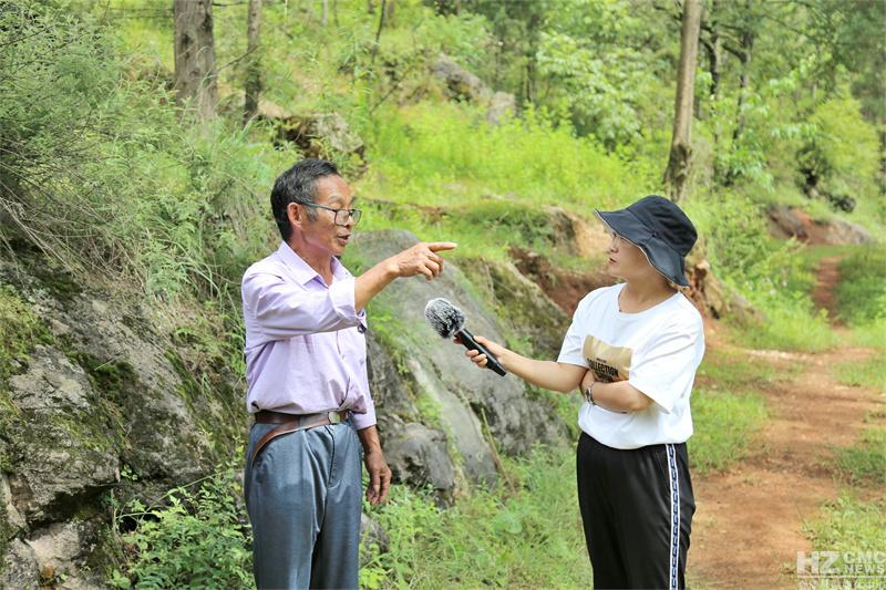 救兵乡最新项目，引领乡村发展的崭新篇章