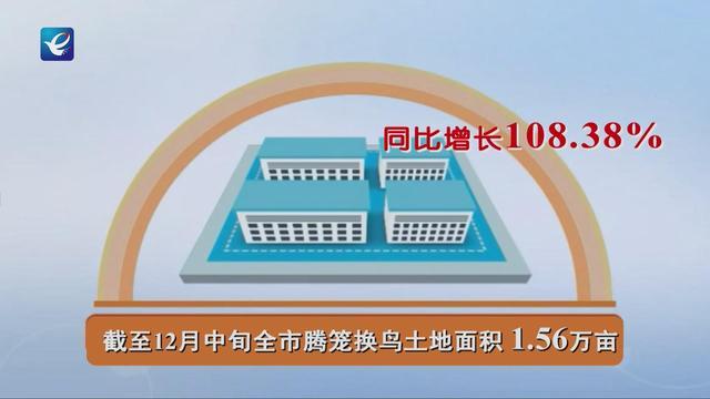 邢台县人民政府办公室最新项目概览