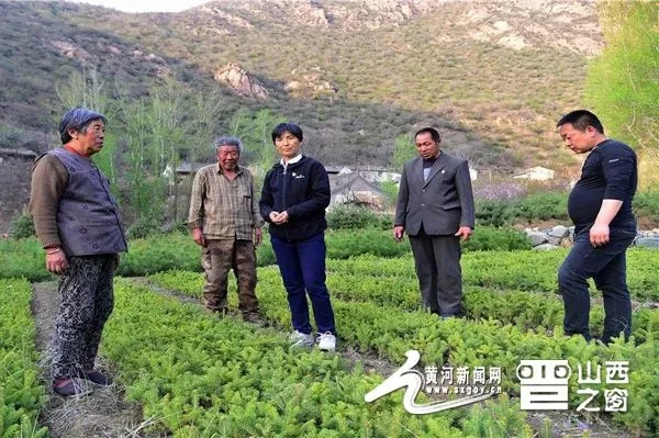 峪口村委会领导团队换血，引领村庄开启新篇章