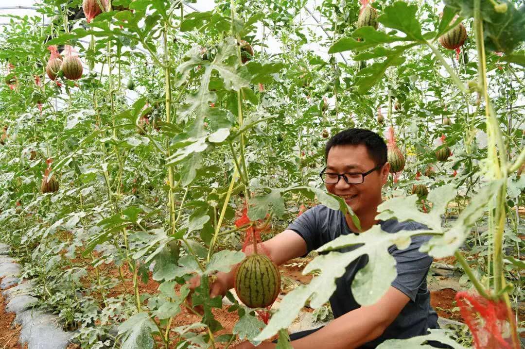 茅箭区医疗保障局领导团队及重要职责概览