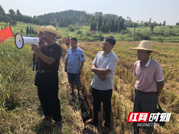 新田县交通运输局最新发展规划解析