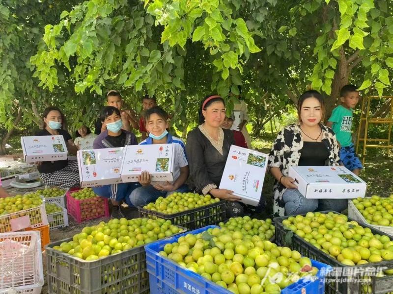 阿克苏地区市邮政局最新动态报道