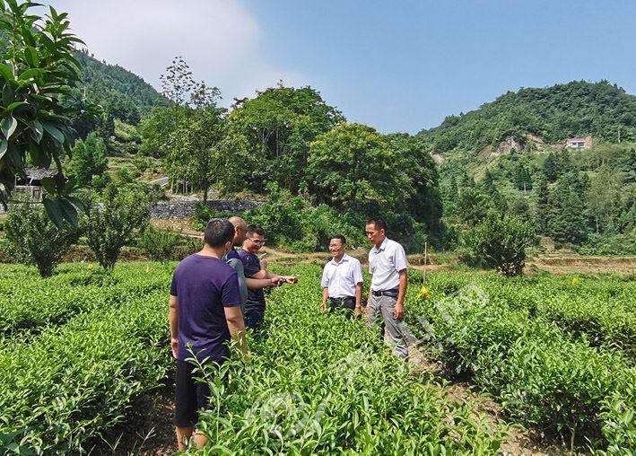 秀山土家族苗族自治县科学技术和工业信息化局人事任命动态解读